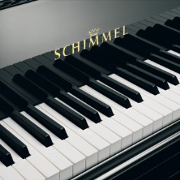 Schimmel 152 érable sycomore - Music'Alençon