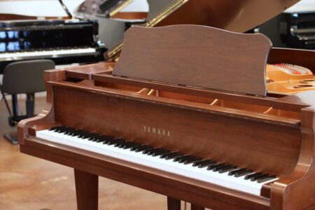 Yamaha 5'3" model GC1 (2007) Walnut Satin