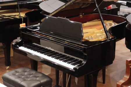 Pre-Owned Schimmel CC208 100th Anniversary Edition, full view