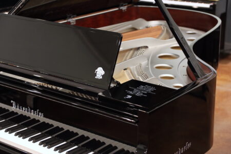 Bösendorfer 214VC Beethoven Edition, view of the curve
