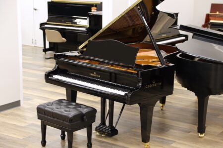 1924 C.Bechstein model B | PianoWorks | full view