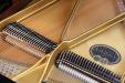 view of tenor & bass, Vogel V177 grand piano by Schimmel