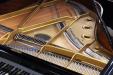 view of strings and plate, Vogel V177 grand piano by Schimmel