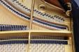 detail view of treble strings, Vogel V177 grand piano by Schimmel