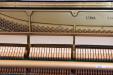 Yam_U30A_5195431_model 12