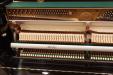Pre-Owned Kawai CE-7, inside bass strings and hammers