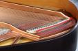 Pre-Owned Young Chang PG-175, bass strings