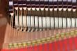Young Chang PG-175 grand piano, hammers