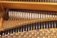 Pre-Owned Kawai RX-5, tenor section view of hammers and strings