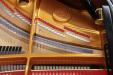 Pre-Owned Cristofori grand piano, plate and strings detail