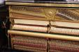 Yam_U30A_5069617_inside