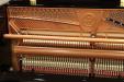 Pre-Owned Hailun model 121, bass strings and action