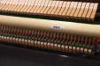 Pre-Owned Yamaha YU1 aka "Super U1", view of action