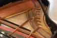 Rebuilt Steinway M, strings and soundboard