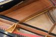 Rebuilt Steinway M, view of model, dampers and soundboard