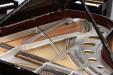 Bösendorfer 214VC Beethoven Edition, metallic silver harp