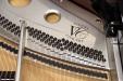 Bösendorfer 214 Vienna Concert, Beethoven Edition, individual string loops.