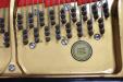 Baldwin_L_223676_pins