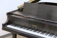 Baldwin_L_223676_keyboard