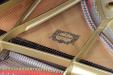 1980 Yamaha C7D - tenor view of hammers, strings and soundboard