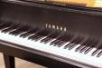 1980 Yamaha C7D - closeup of keyboard