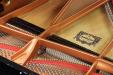 Pre-Owned Yamaha C7x | PianoWorks | hammers, strings, soundboard, tenor view
