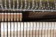2007 Yamaha P22 | PianoWorks | treble hammers, minimal wear