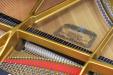 Pre-Owned Shigeru Kawai SK-5 | PianoWorks | view of soundboard