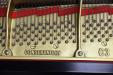 Pre-Owned Yamaha C3E | PianoWorks | tuning pins