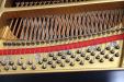 Steinway_S_353914_bass-pins
