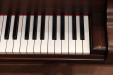 1889 Steinway A | PianoWorks | Original Ivory (treble)