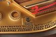 1889 Steinway A | PianoWorks | plate casting detail