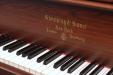 1889 Steinway A | PianoWorks | brass inlay decal