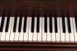 1889 Steinway A | PianoWorks | original ivory (middle)