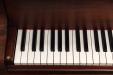 1889 Steinway A | PianoWorks | Original Ivory (bass)