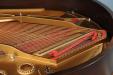 1889 Steinway A | PianoWorks | bass strings