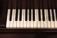 1946 Steinway model S | restored by PianoWorks in 2011 | original ivory - left