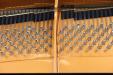 Pre-Owned Schimmel K189T | PianoWorks | tuning pins