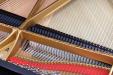 Rebuilt & Updated 1908 Steinway model A | PianoWorks | view of strings, model & original restored soundboard