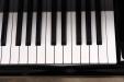 1985 C.Bechstein model B | PianoWorks | one-piece ivory keytops - treble