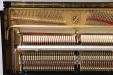 2003 Petrof P125 upright | PianoWorks | view inside of action, plate, strings